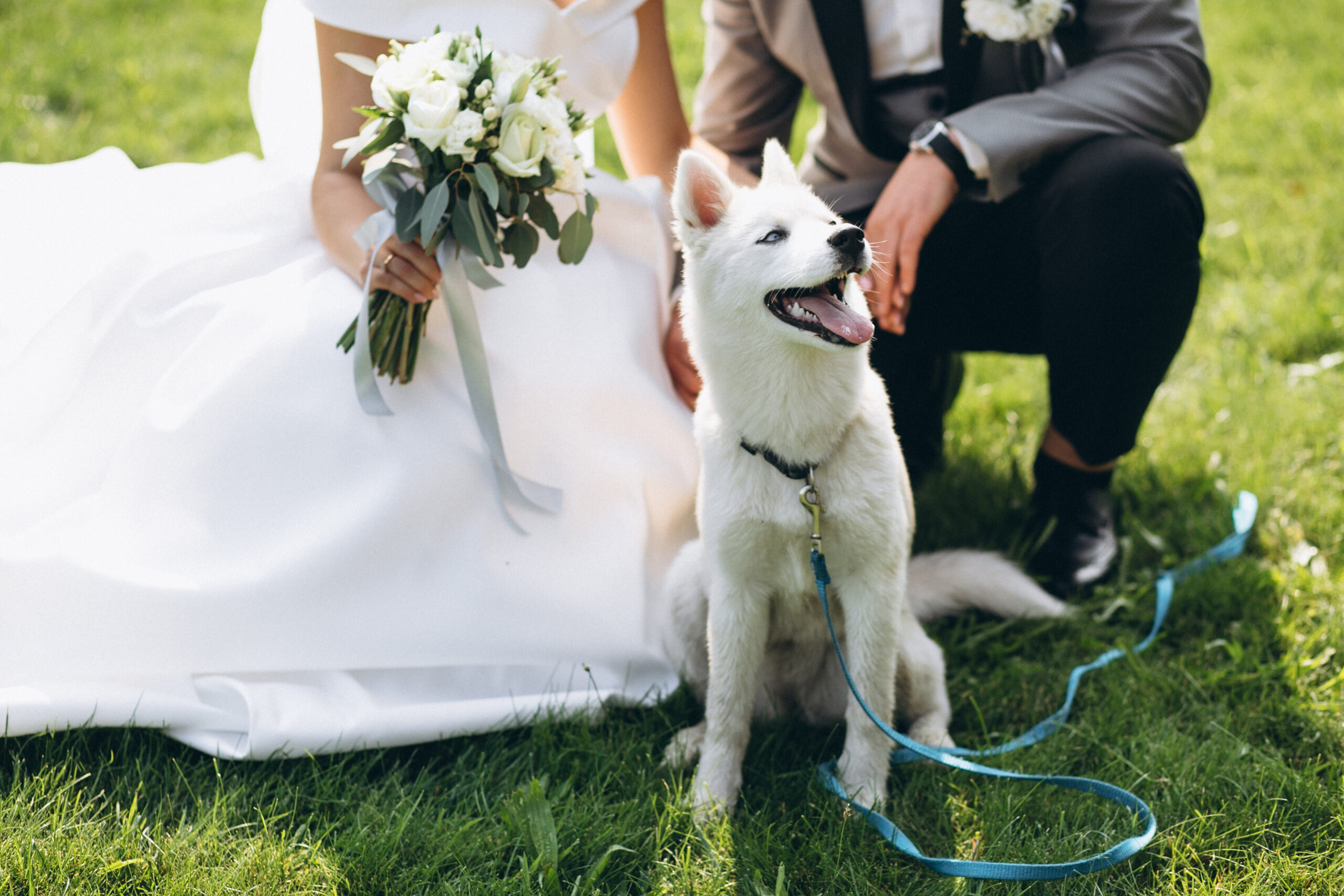 ワンちゃんと結婚式